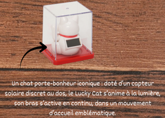 Lucky Cat Femme