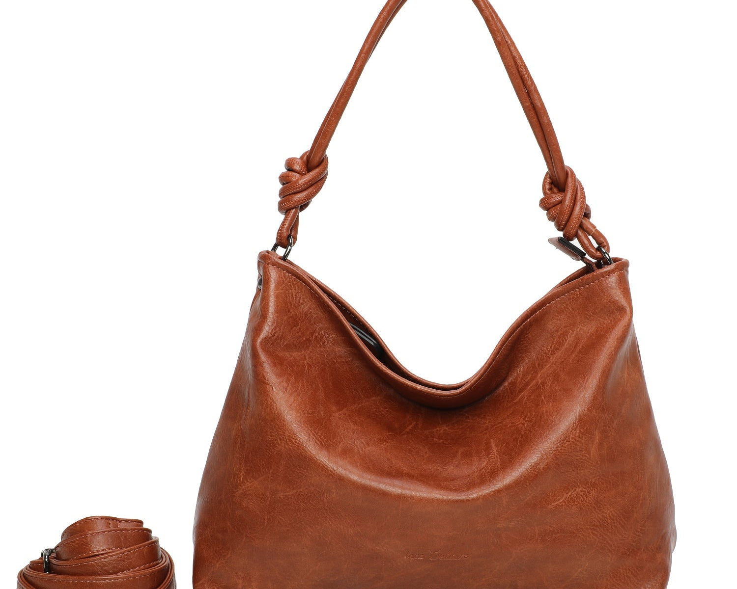 Camel 1