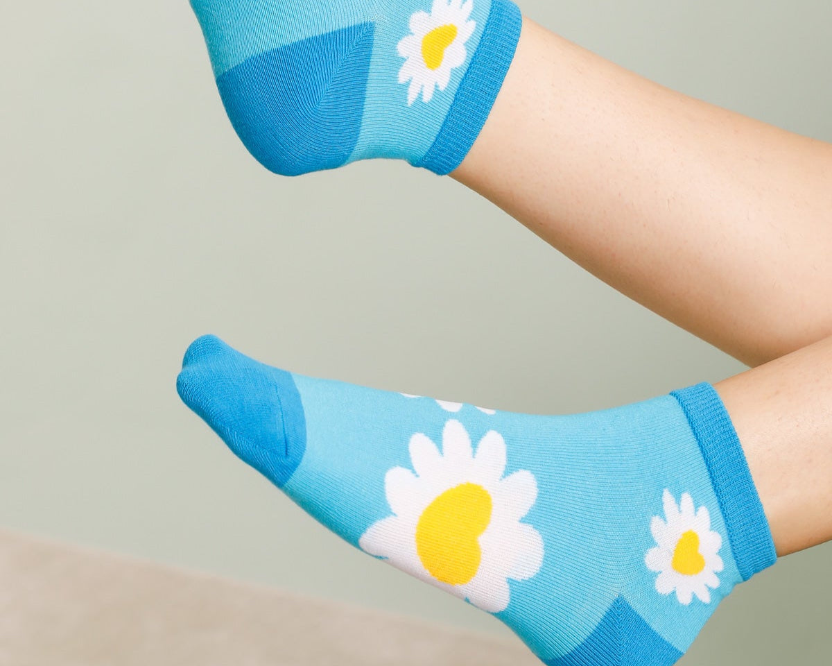 Marguerites 2